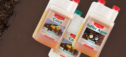 CANNA COCO