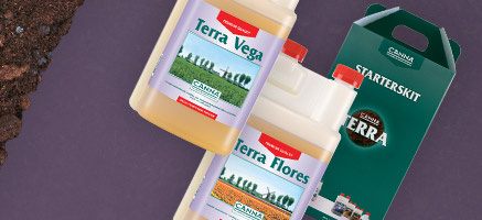 CANNA TERRA